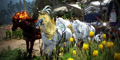 bdo dream horse guide